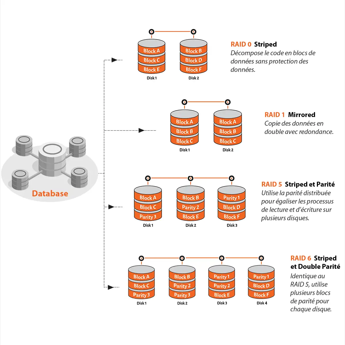 Schéma comparatif des niveaux RAID 0, RAID 1, RAID 5 et RAID 6